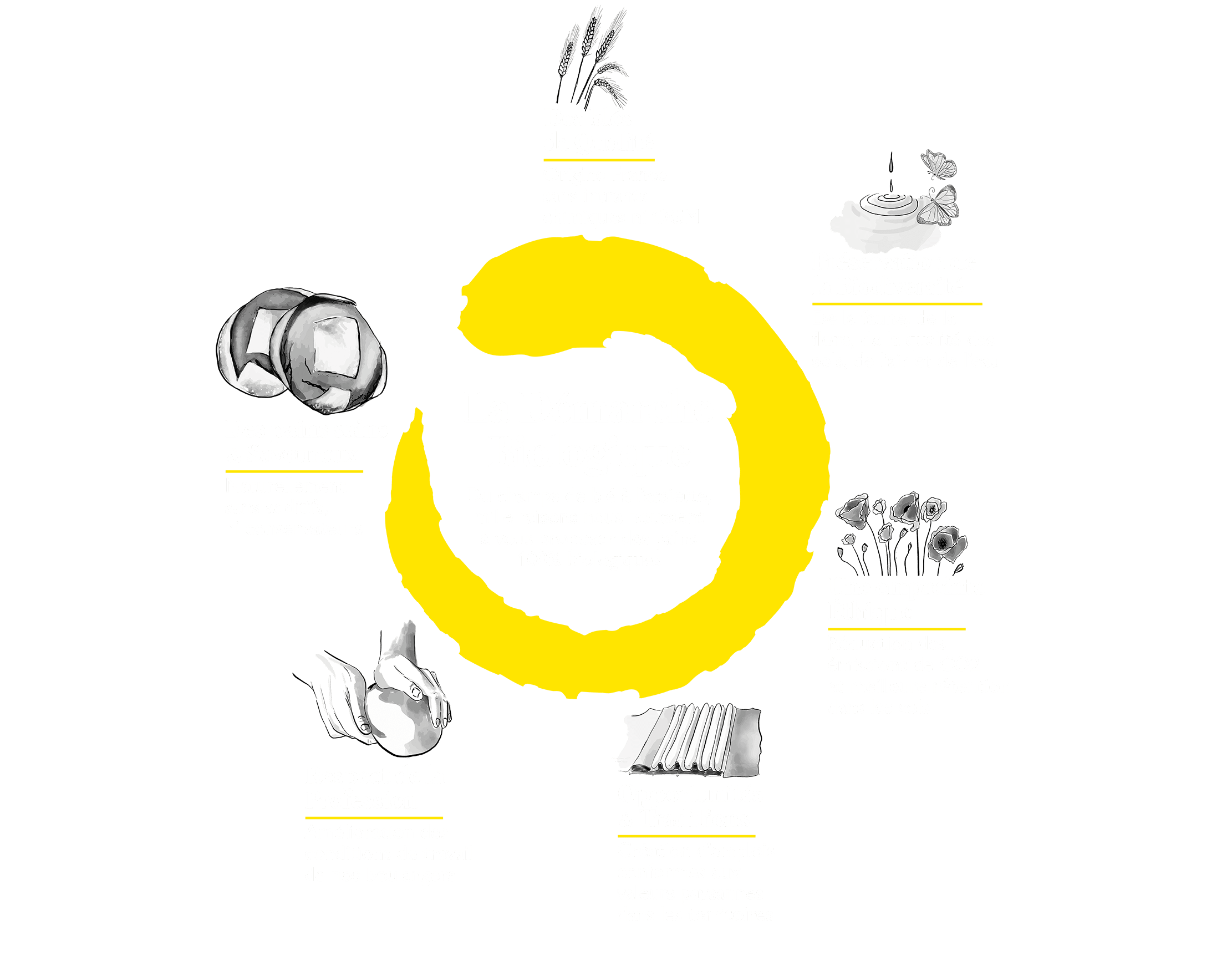 demarche-biologique Démarche biologique de la Maison Landemaine